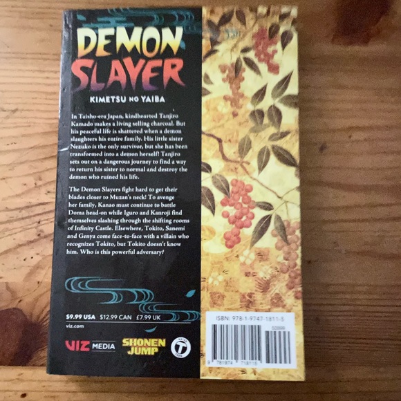 Demon slayer - Picture 2 of 2